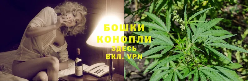 Бошки Шишки SATIVA & INDICA  наркошоп  Менделеевск 